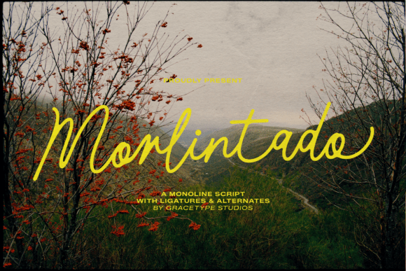 Enhance Your Brand with Morlintado: A Graceful Script Font