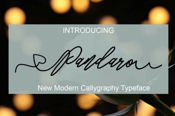 Pandaro: A Modern Script Font for Engaging Campaigns