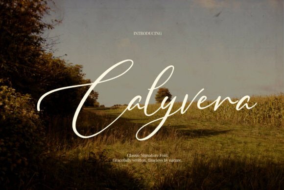 Unlock Visual Elegance with Calyvera Font